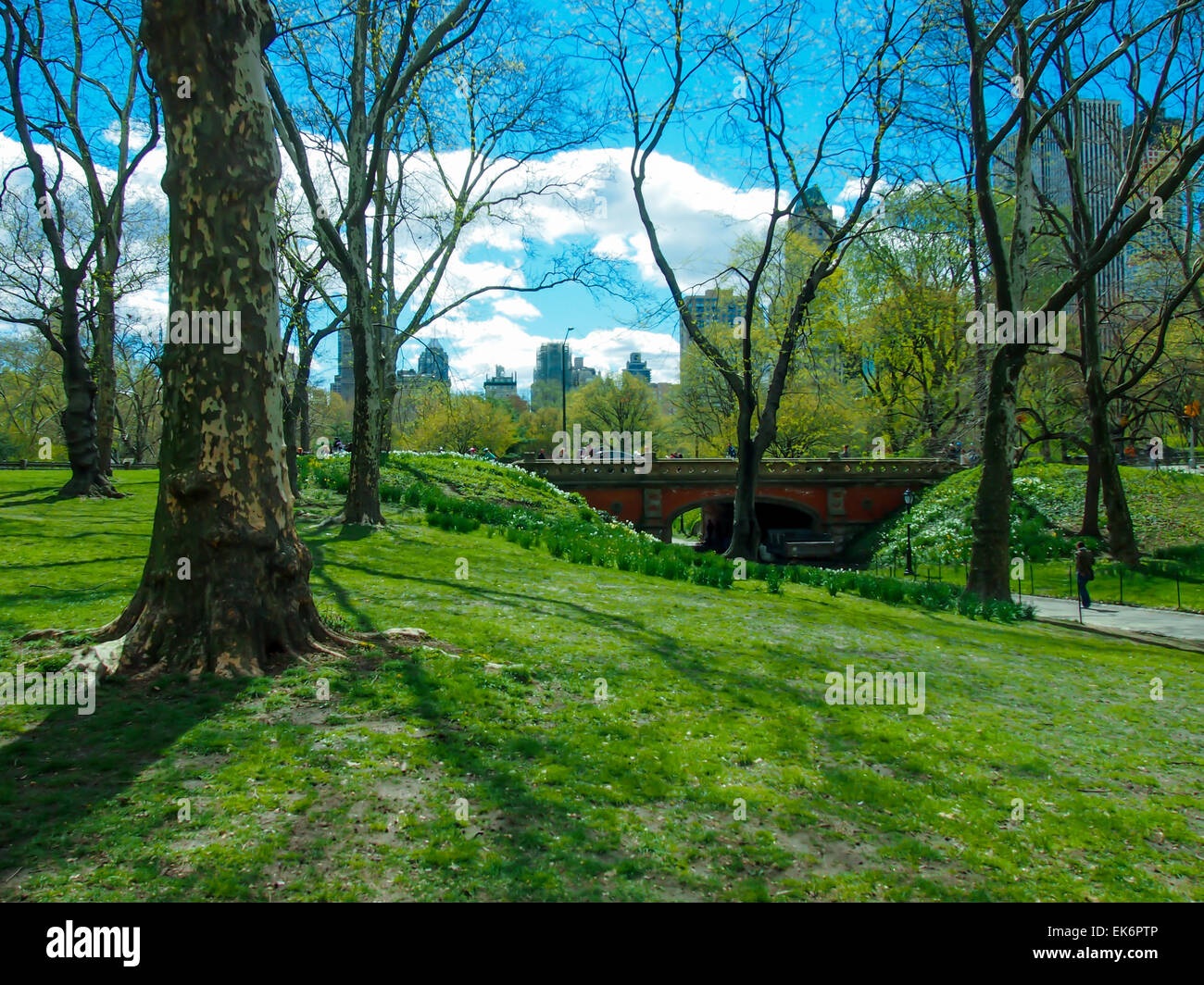 Spring is Coming Stock Photo