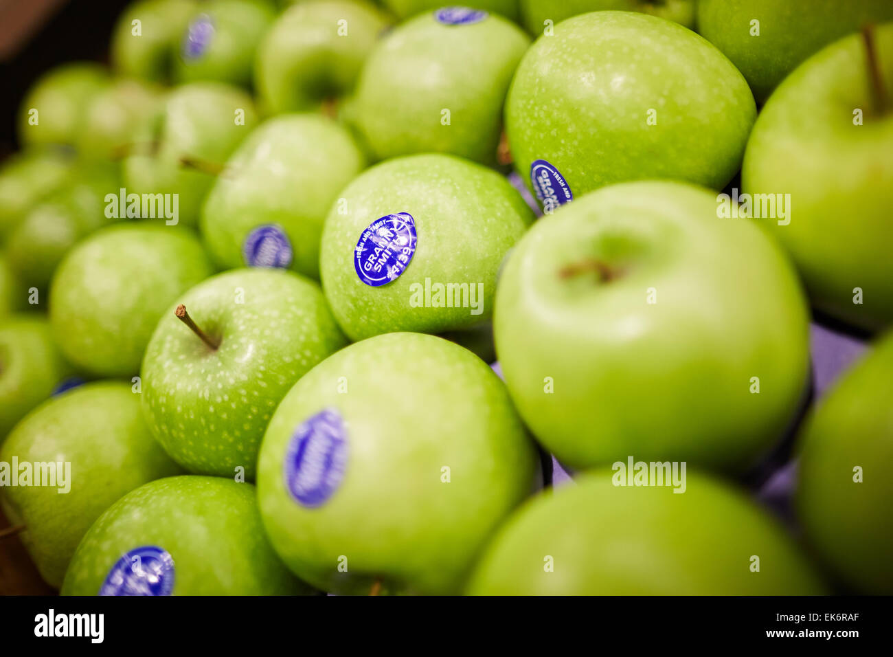 Green Apples fruit Stock Photo Alamy