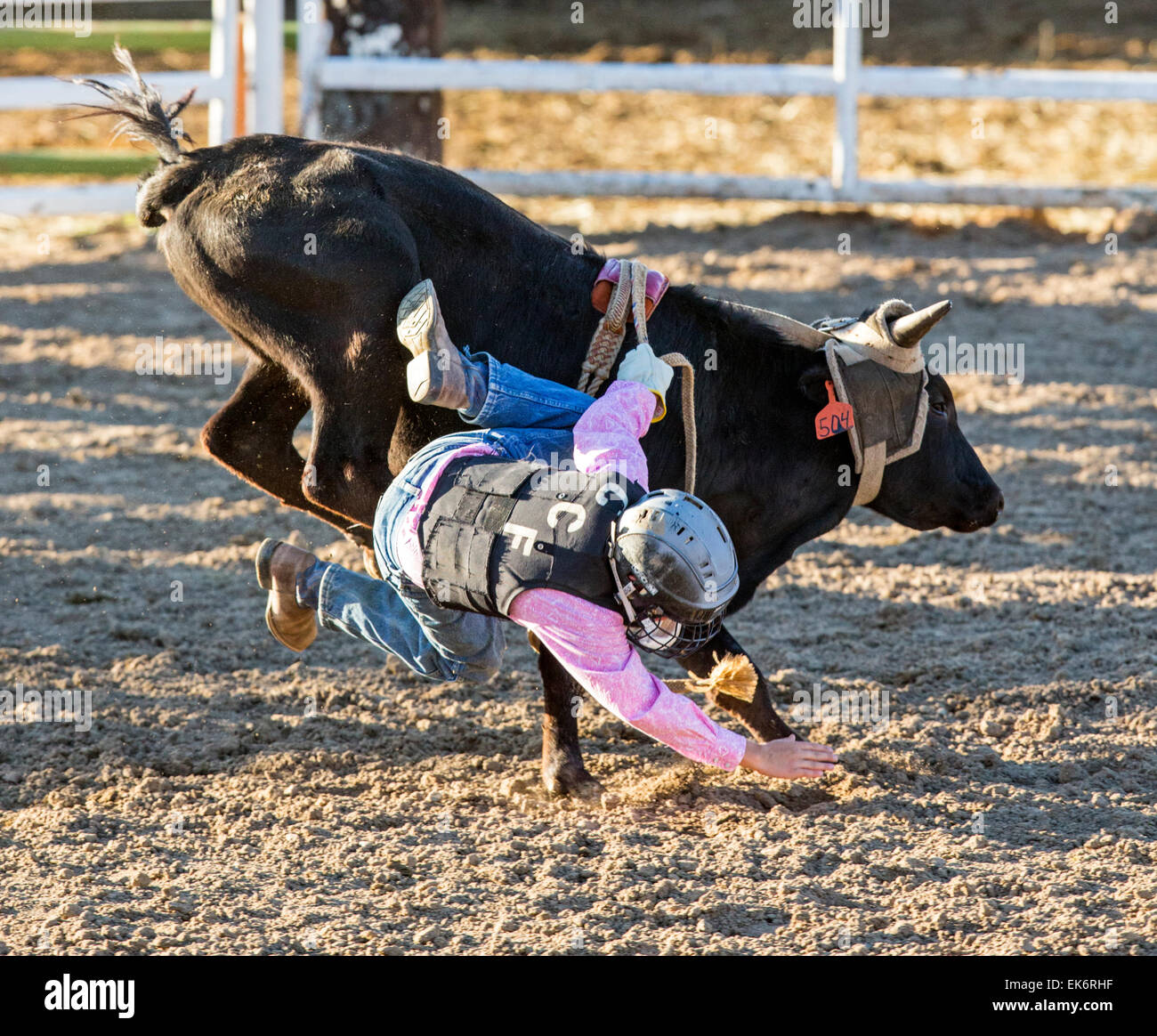 Colorado Bull Riding Young cowgirl riding a small bull in the Junior Steer Riding ...