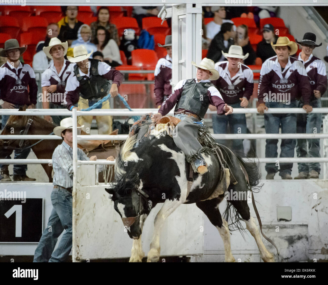Sydney, Australia. 7th April, 2015. The Royal Easter Show included the ...