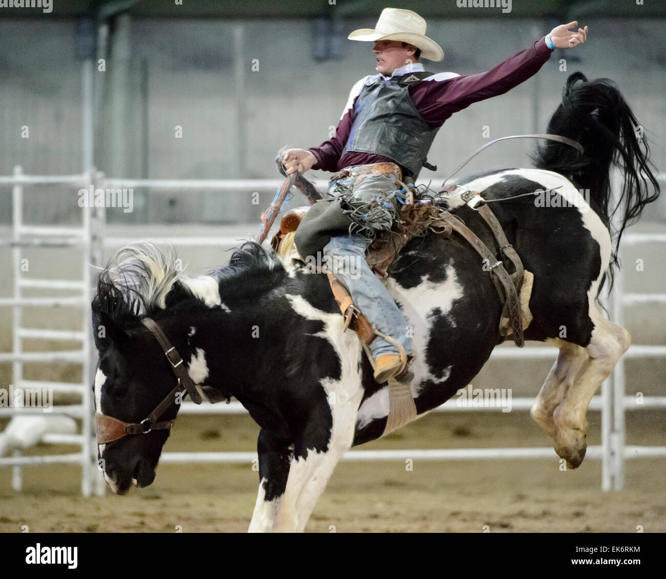 Sydney, Australia. 7th April, 2015. The Royal Easter Show included the ...