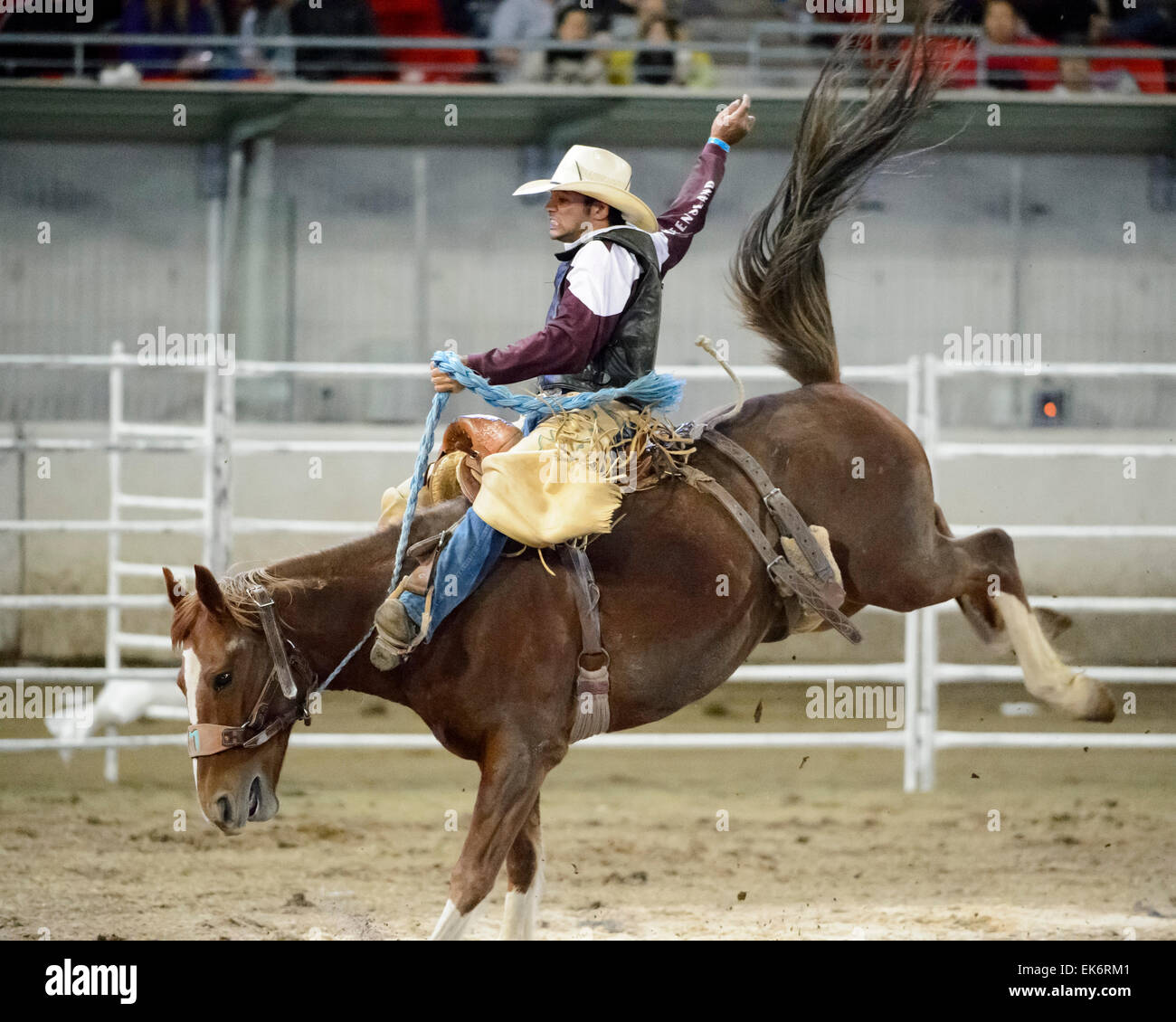 Sydney, Australia. 7th April, 2015. The Royal Easter Show included the ...