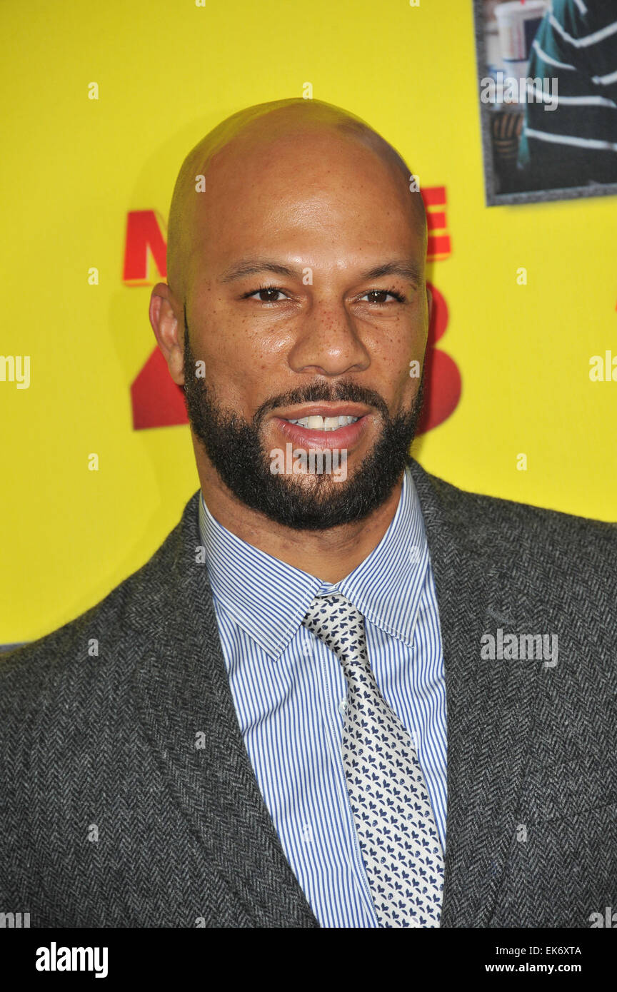 LOS ANGELES, CA - JANUARY 23, 2013: Common at the Los Angeles premiere