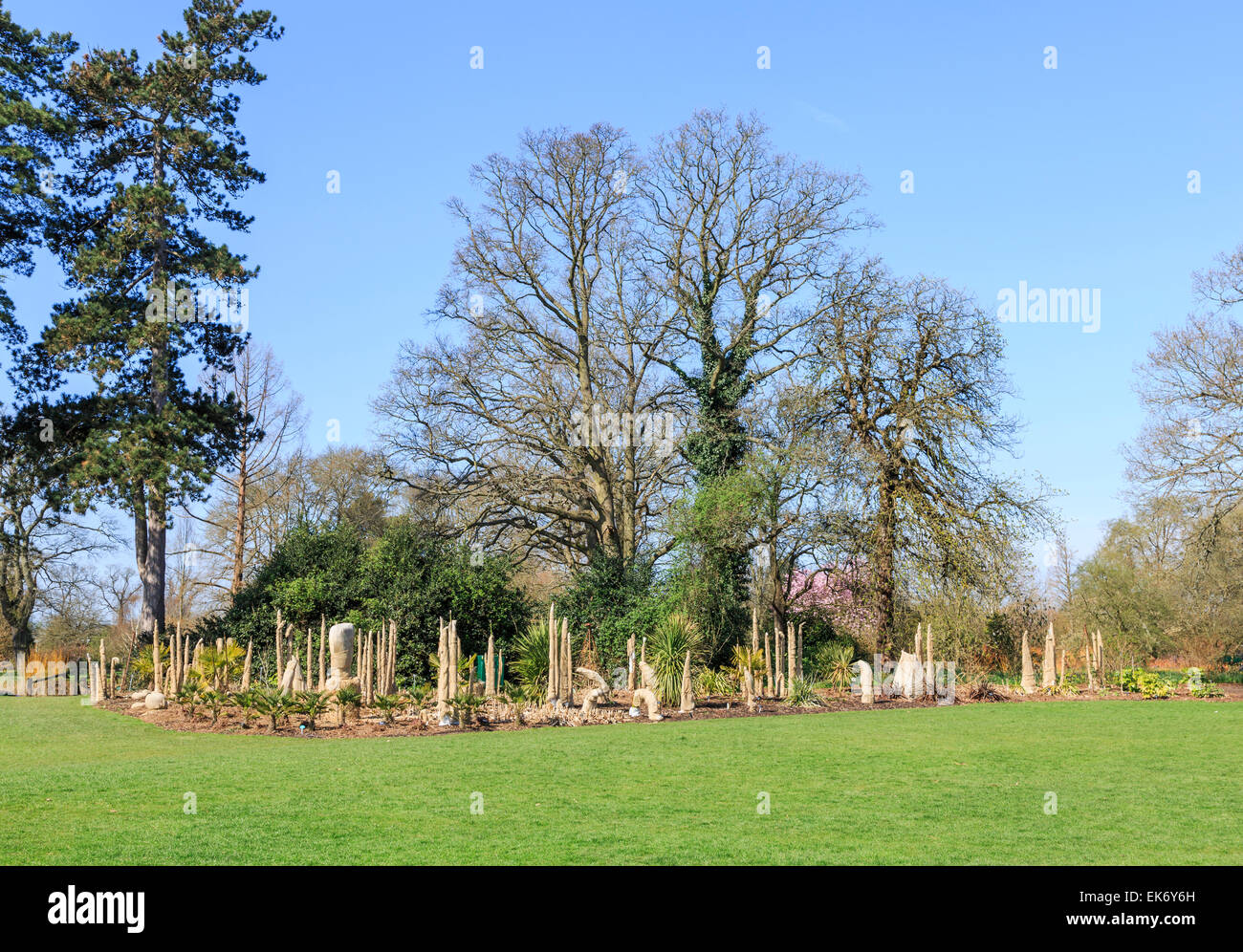 Delicate nonhardy frost sensitive ferns and palms wrapped in hessian to protect from frost, RHS