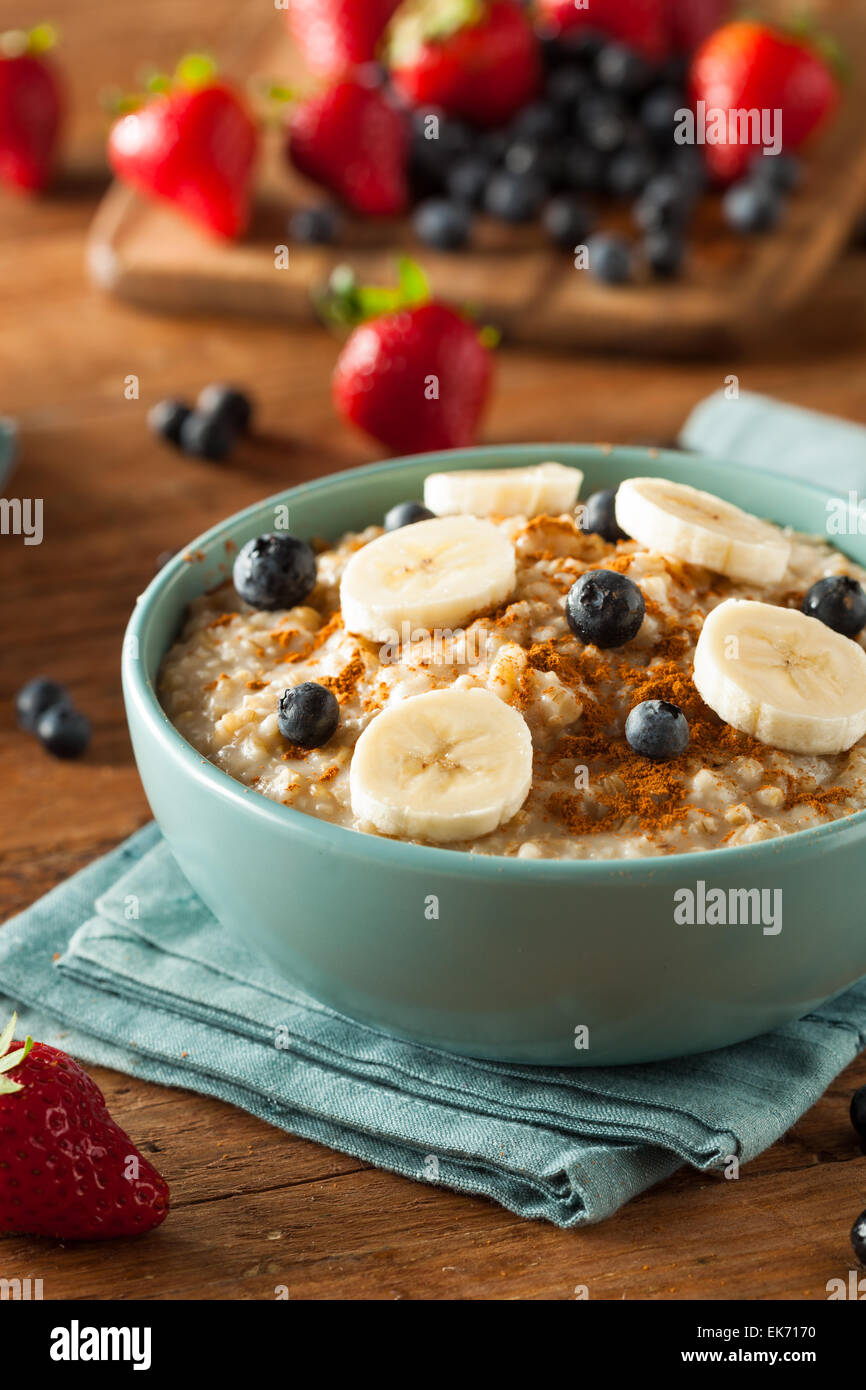 Homemade Healthy Steel Cut Oatmeal with Fruit and Cinnamon Stock Photo