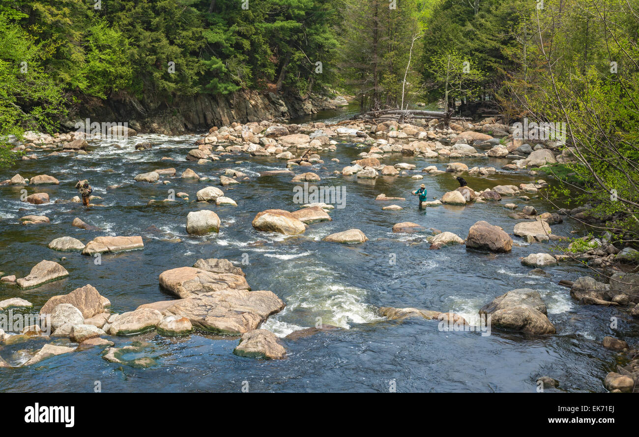 New York, Adirondack Park, Ausable River, man and woman fly fishing, black lab dog on rock Stock