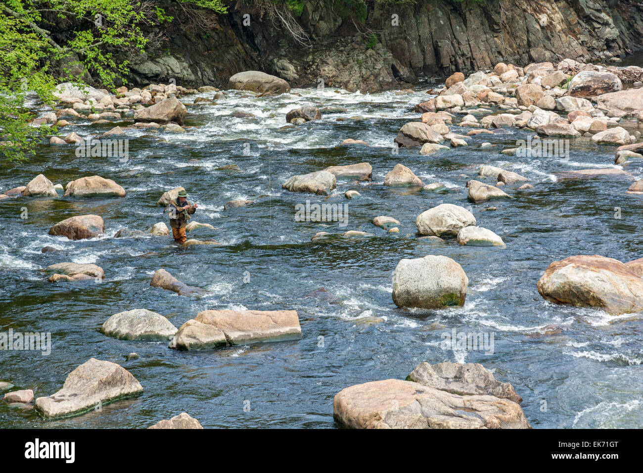New York, Adirondack Park, Ausable River, man fly fishing Stock Photo Alamy