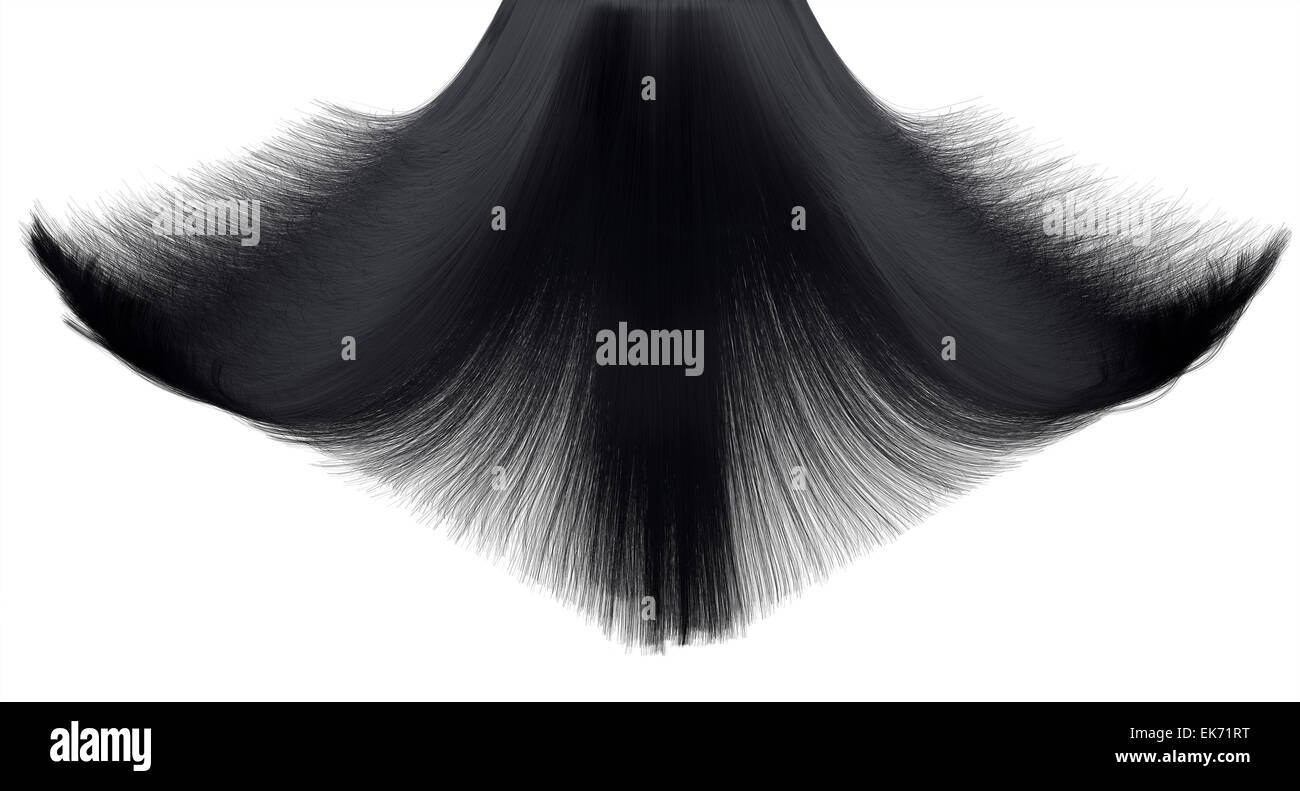 A closeup freeze frame of a head of shiny cascading straight black hair on an isolated white background Stock Photo