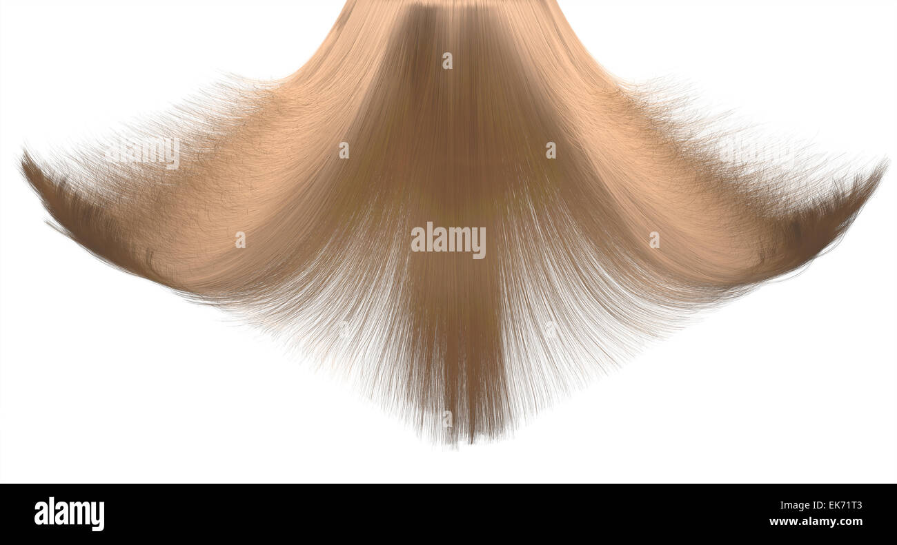 A closeup freeze frame of a head of shiny cascading straight blonde hair on an isolated white background Stock Photo