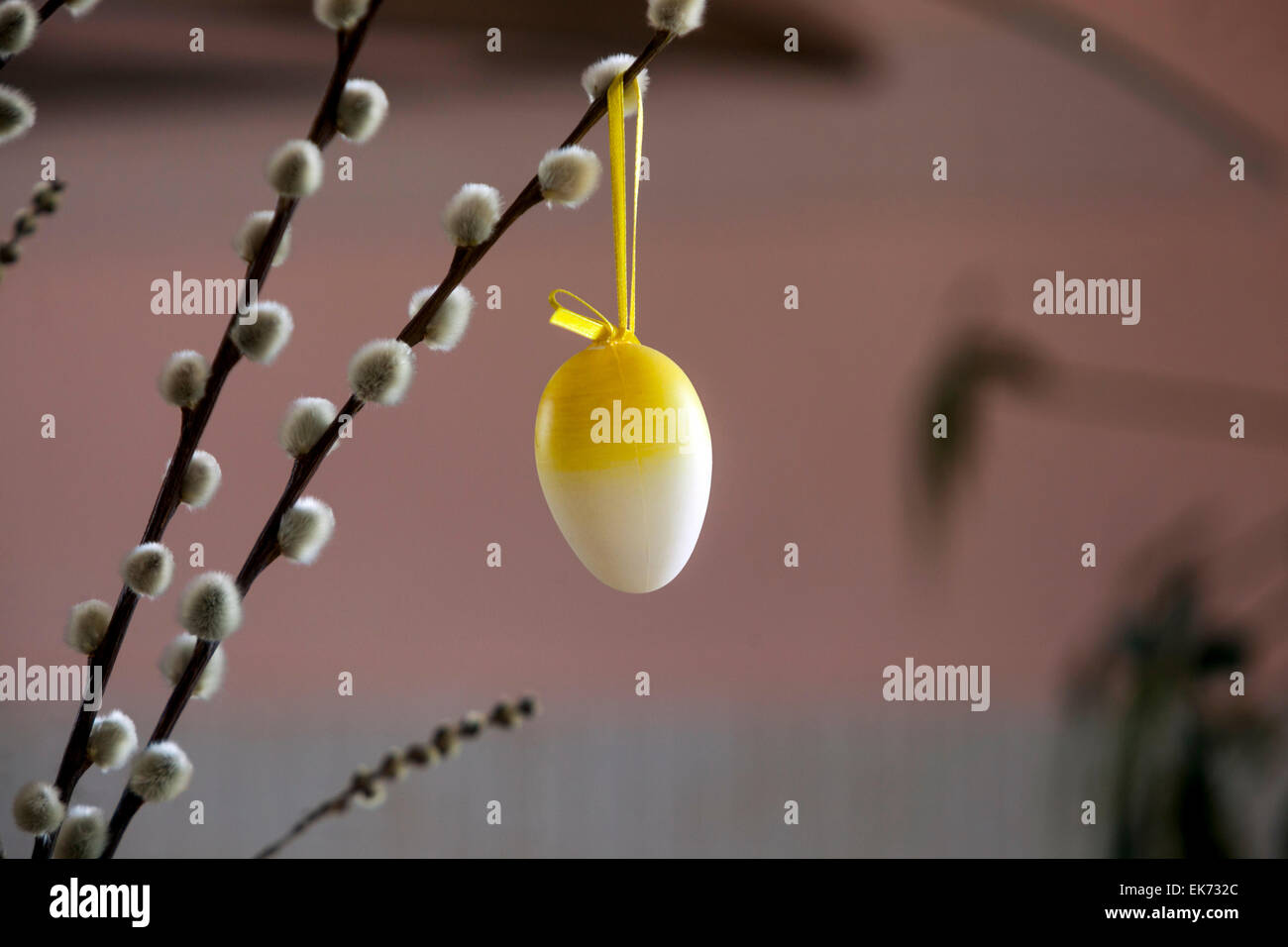 Easter egg hanging on a willow twig Willow branch Stock Photo