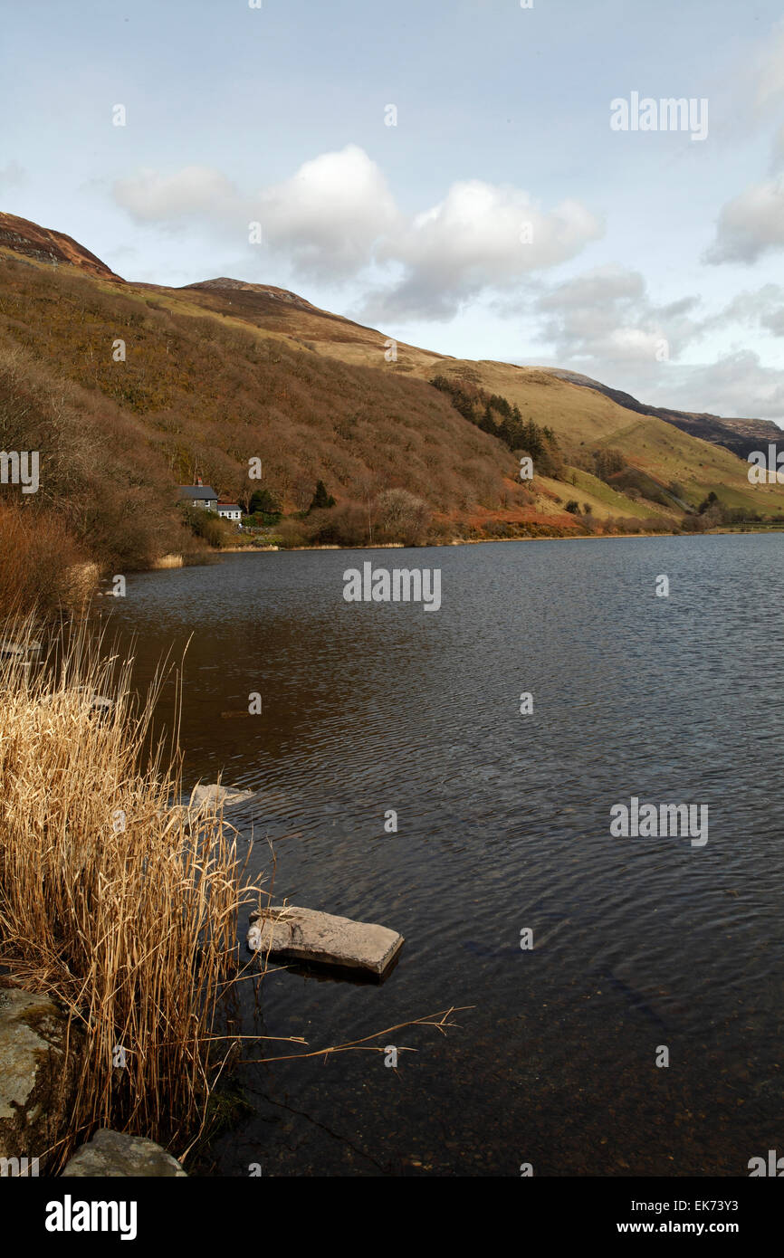 Llyn Mwyngil, LlanfihangelyPennant, Near Cadair Idris. North Wales Stock Photo Alamy