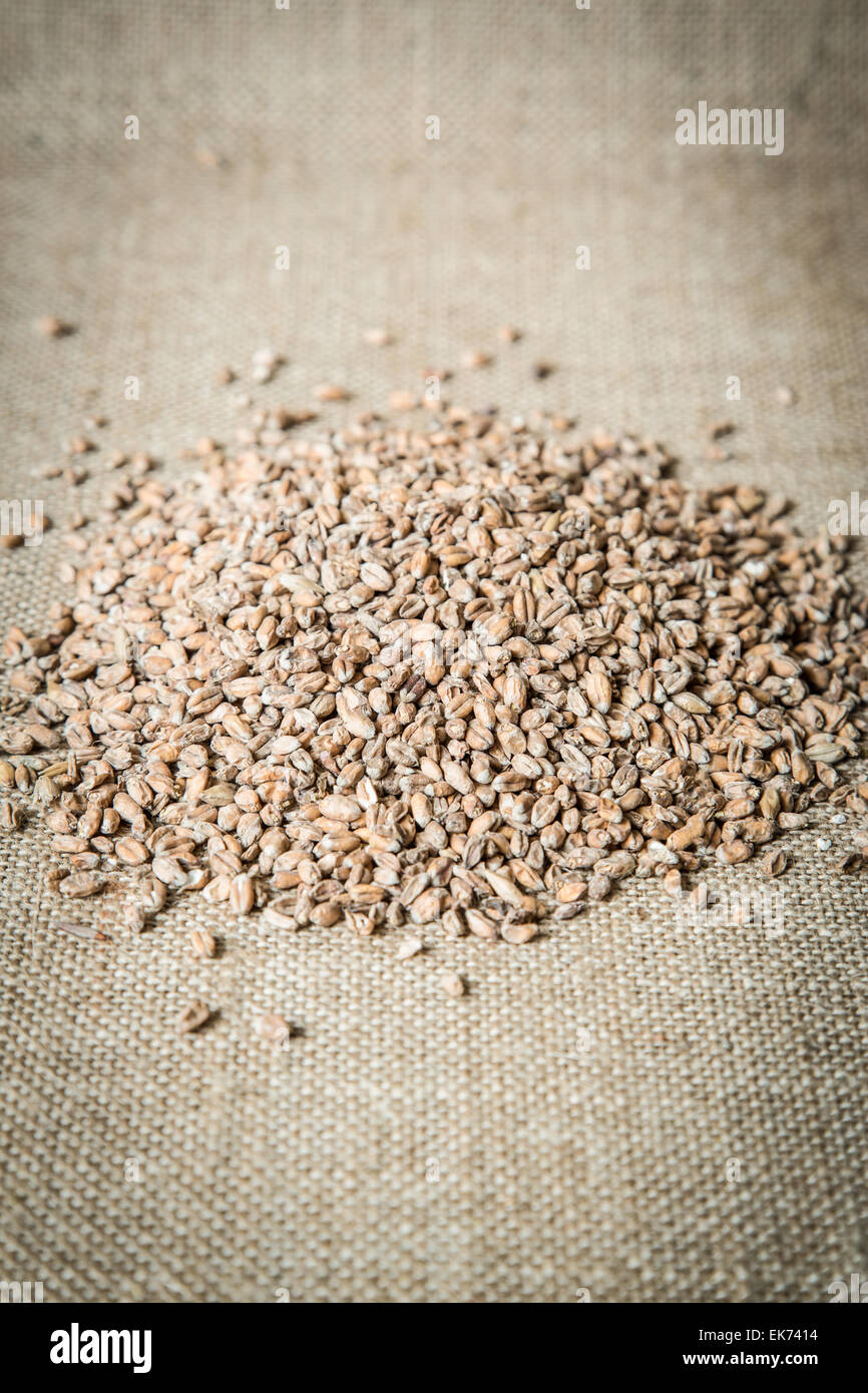 Wheat malt, used as a flavouring in beer making Stock Photo Alamy
