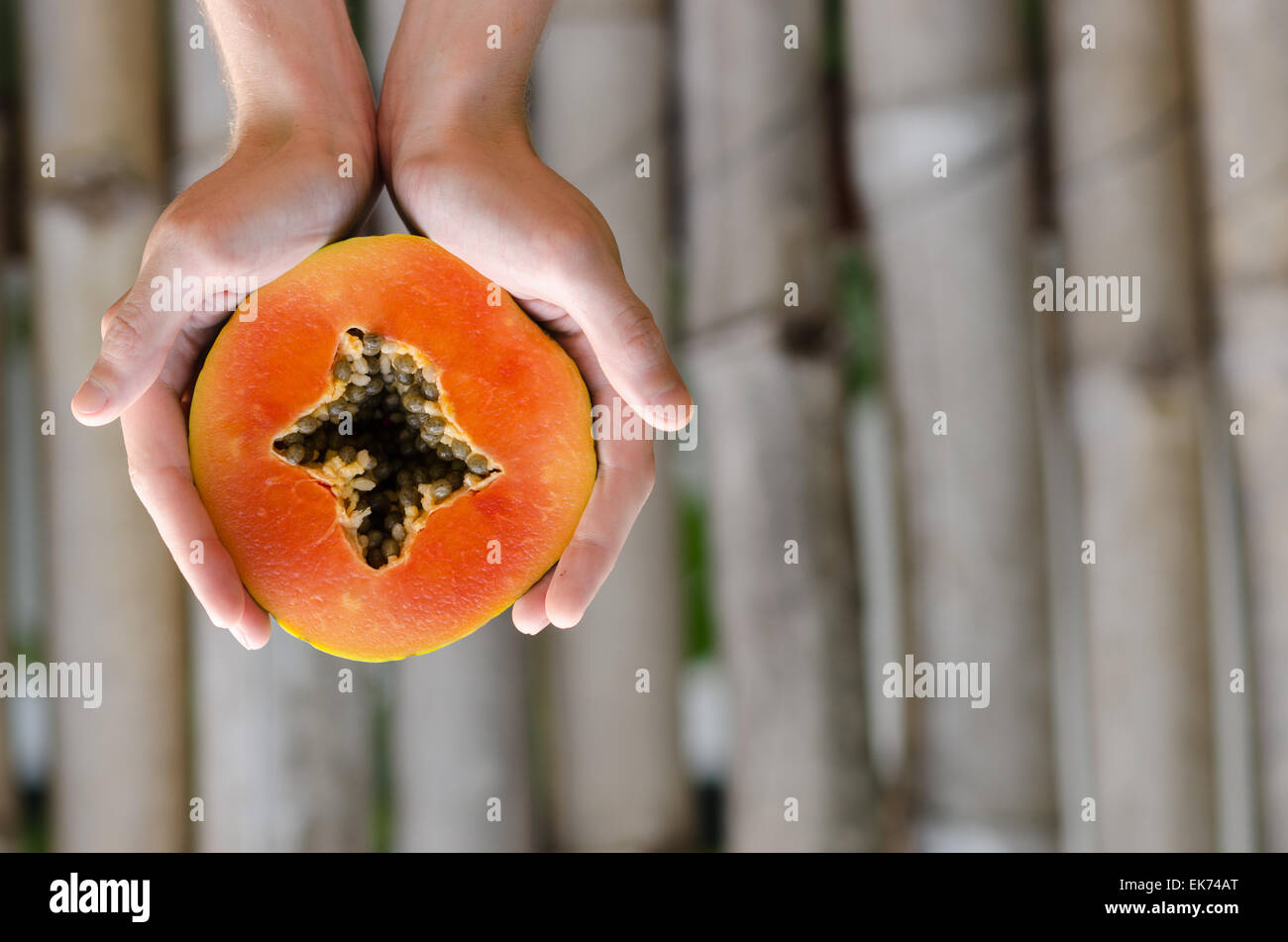 Hands holding a papaya slice Stock Photo Alamy
