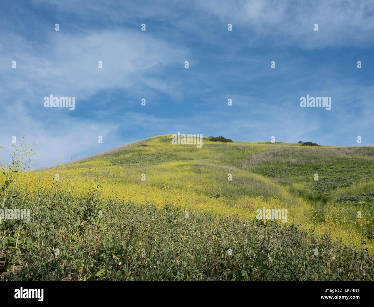 The beautiful hills of San Clemente, California. Stock Photo