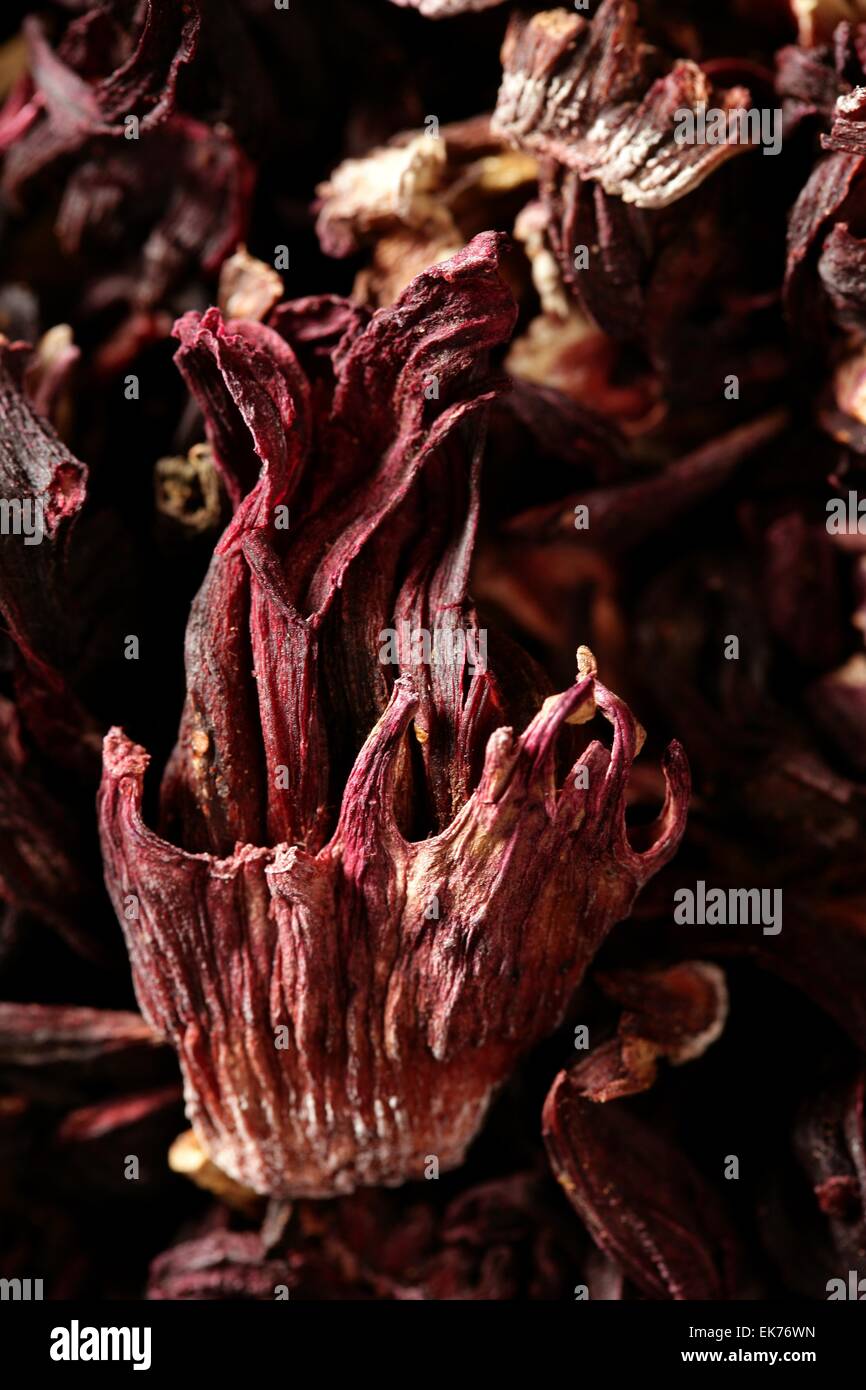 hibiscus dried petals, Jamaica flowers, tea Stock Photo Alamy