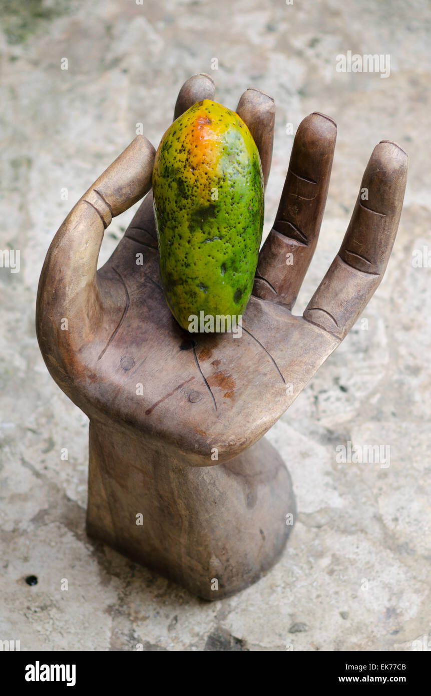 papaya on hand Stock Photo Alamy