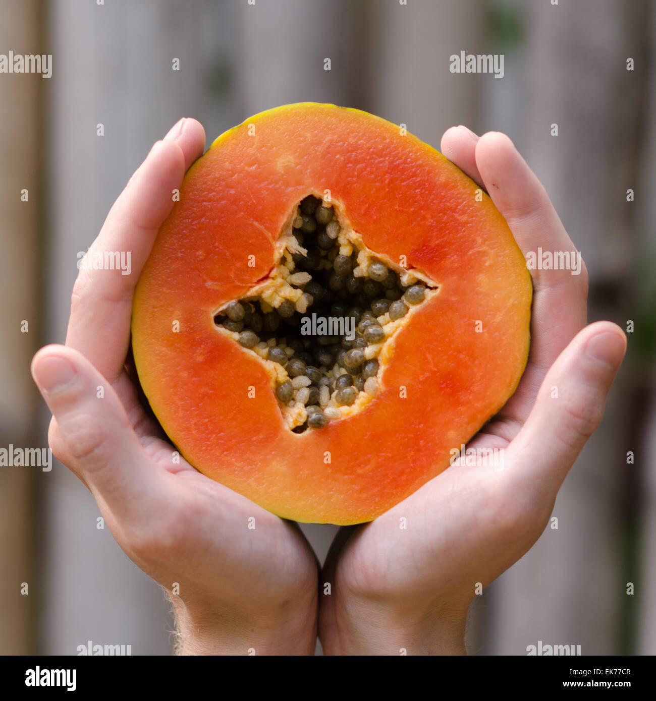 Hands holding a papaya slice Stock Photo Alamy