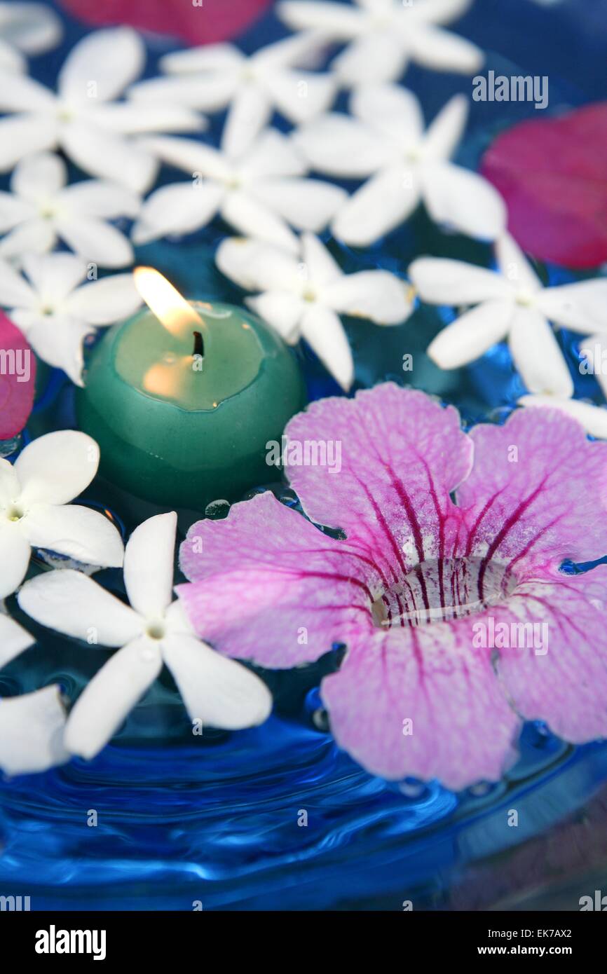 Jasmine, and pink Asarina, candles and blue water Stock Photo