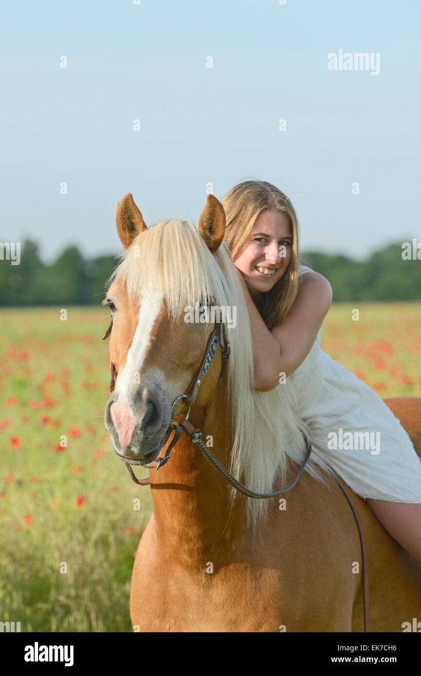 Young woman wearing white dress Haflinger horse Germany Stock Photo