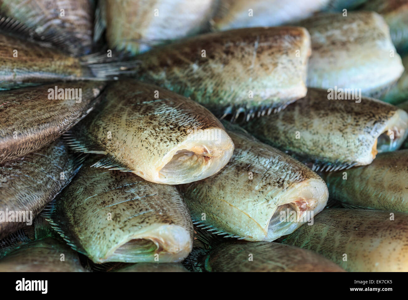 Close up dry fish in Thailand market Stock Photo