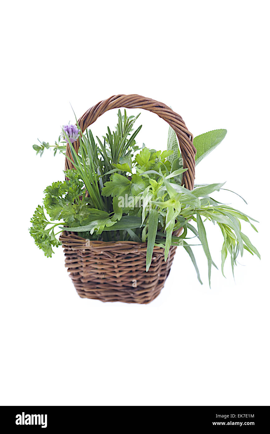 Aromatic herb Stock Photo