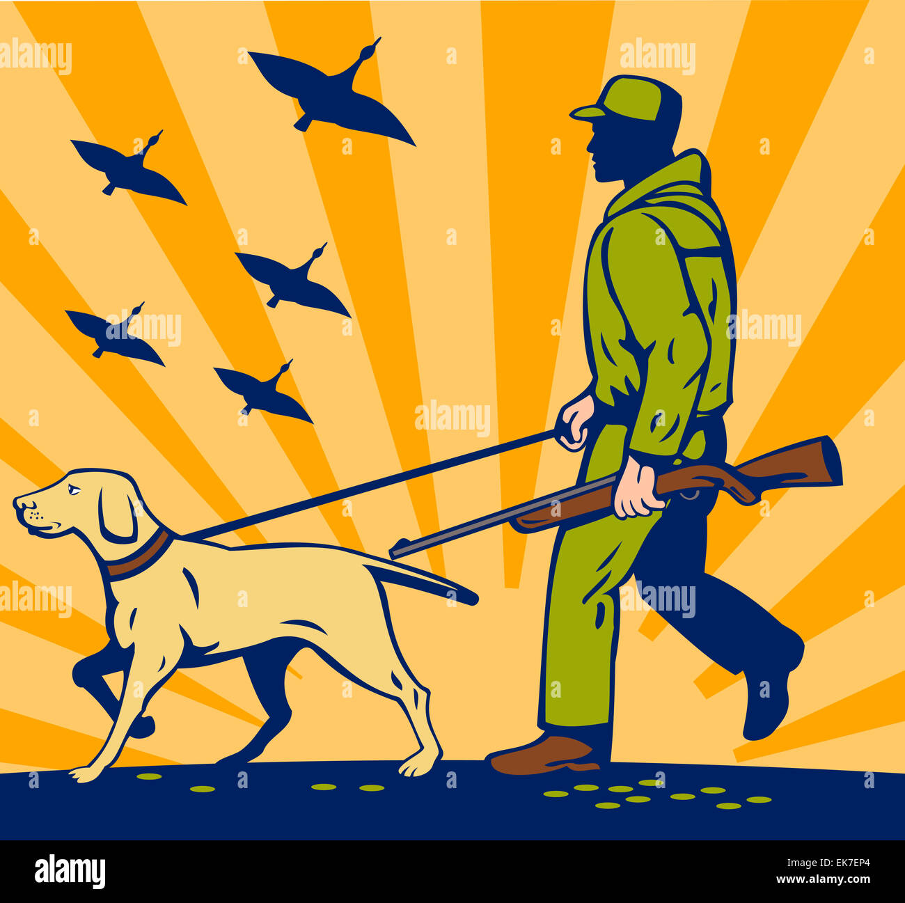 Hunter with rifle walking trained hunting gun dog Stock Photo Alamy