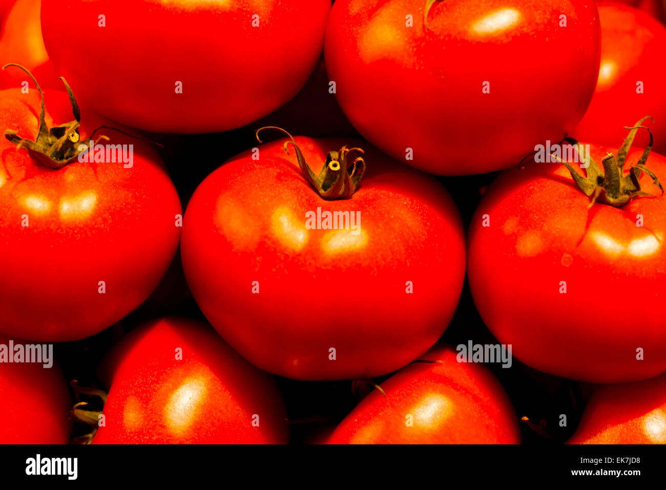 Genetically modified tomatos Stock Photo