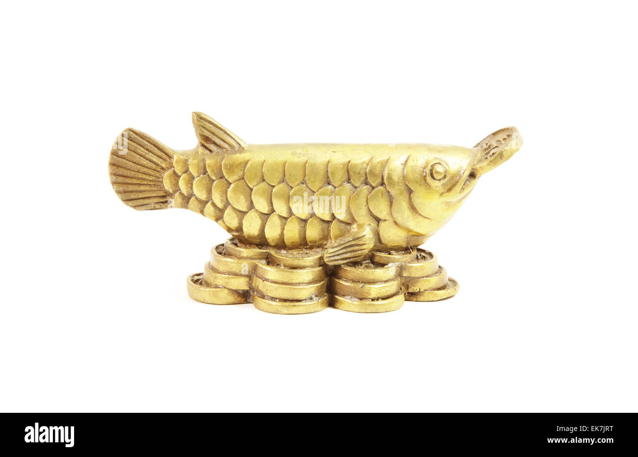 Luck Fish Feng Shui Arowana Stock Photo - Alamy