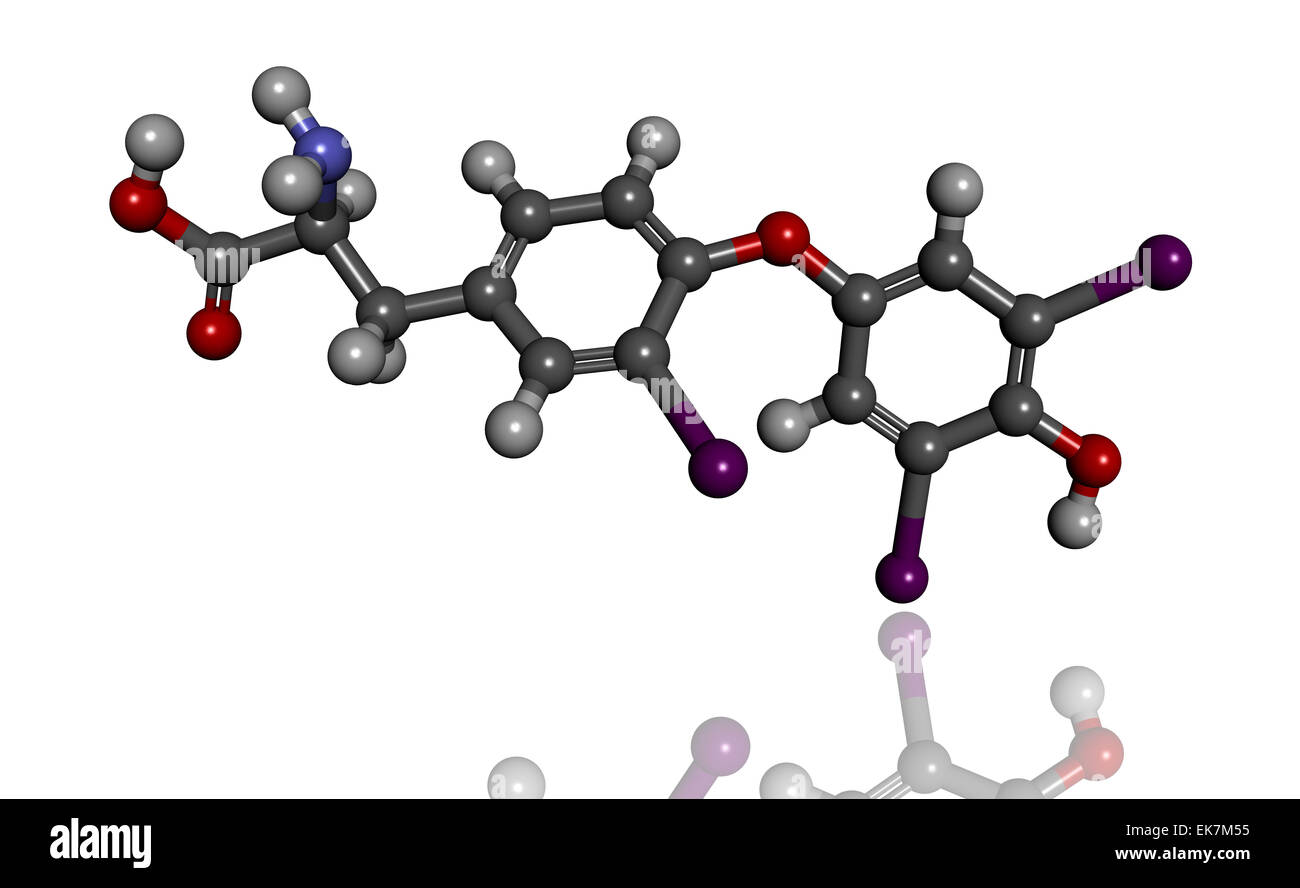 Reverse triiodothyronine molecule Stock Photo