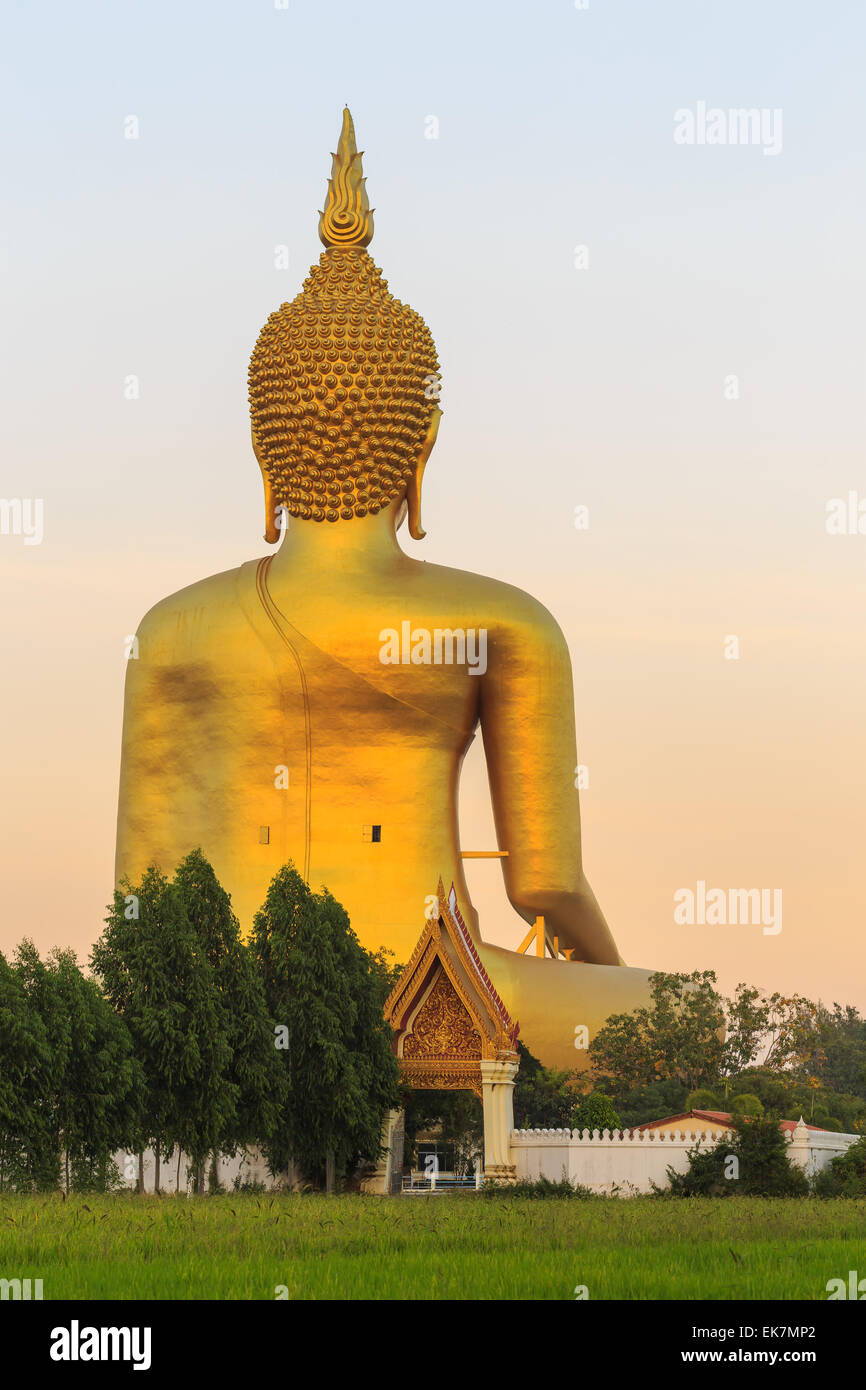 Big golden buddha statue in Thailand Stock Photo - Alamy