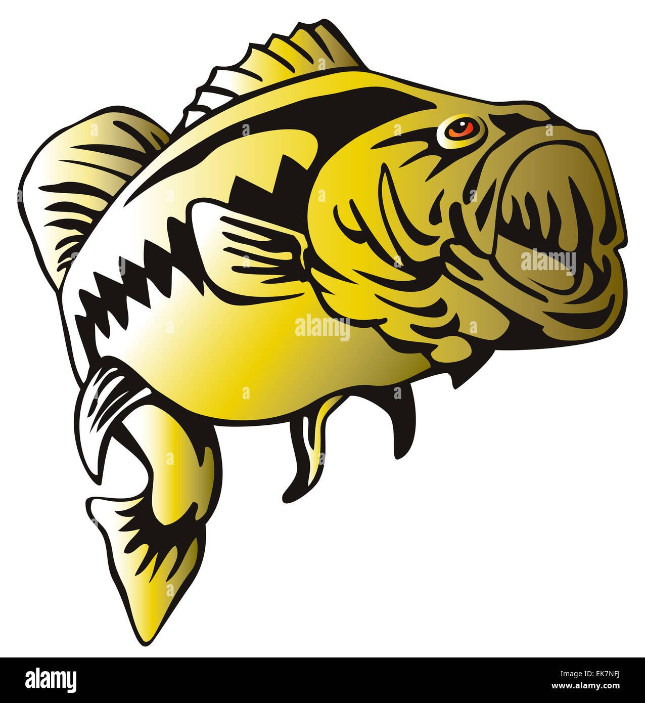 Largemouth bass jumping hires stock photography and images Alamy