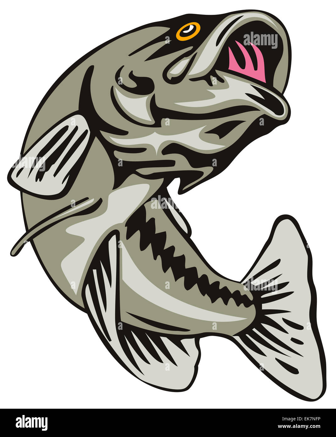 Largemouth bass jumping hires stock photography and images Alamy