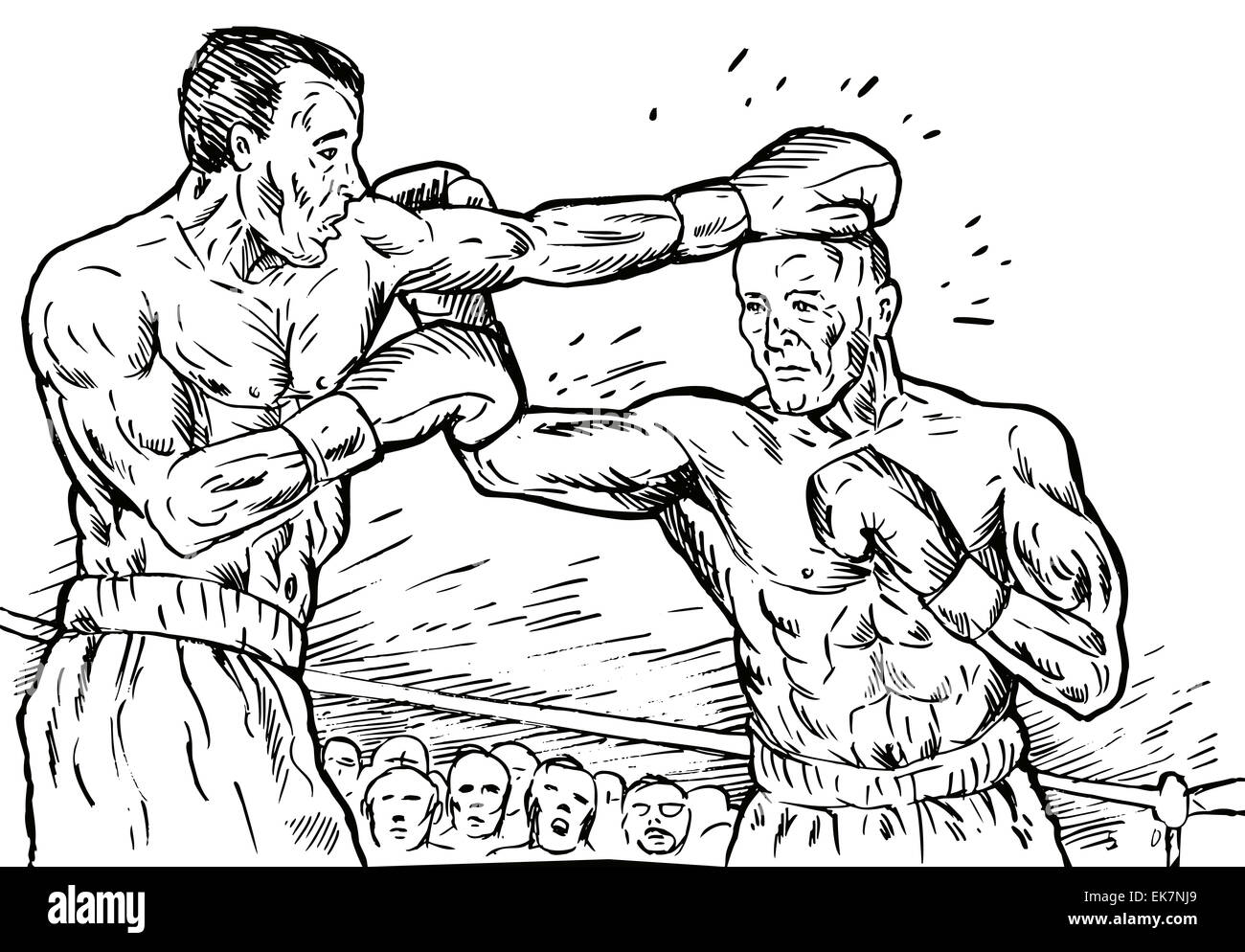 boxer connecting knockout punch Stock Photo Alamy