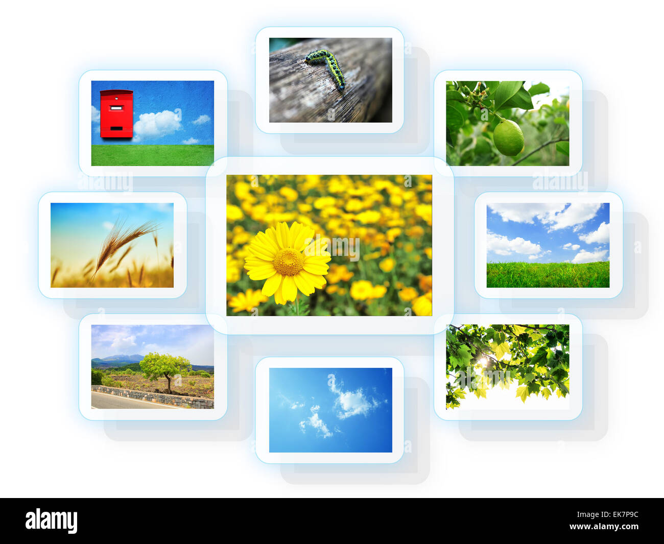 Photo collage Stock Photo