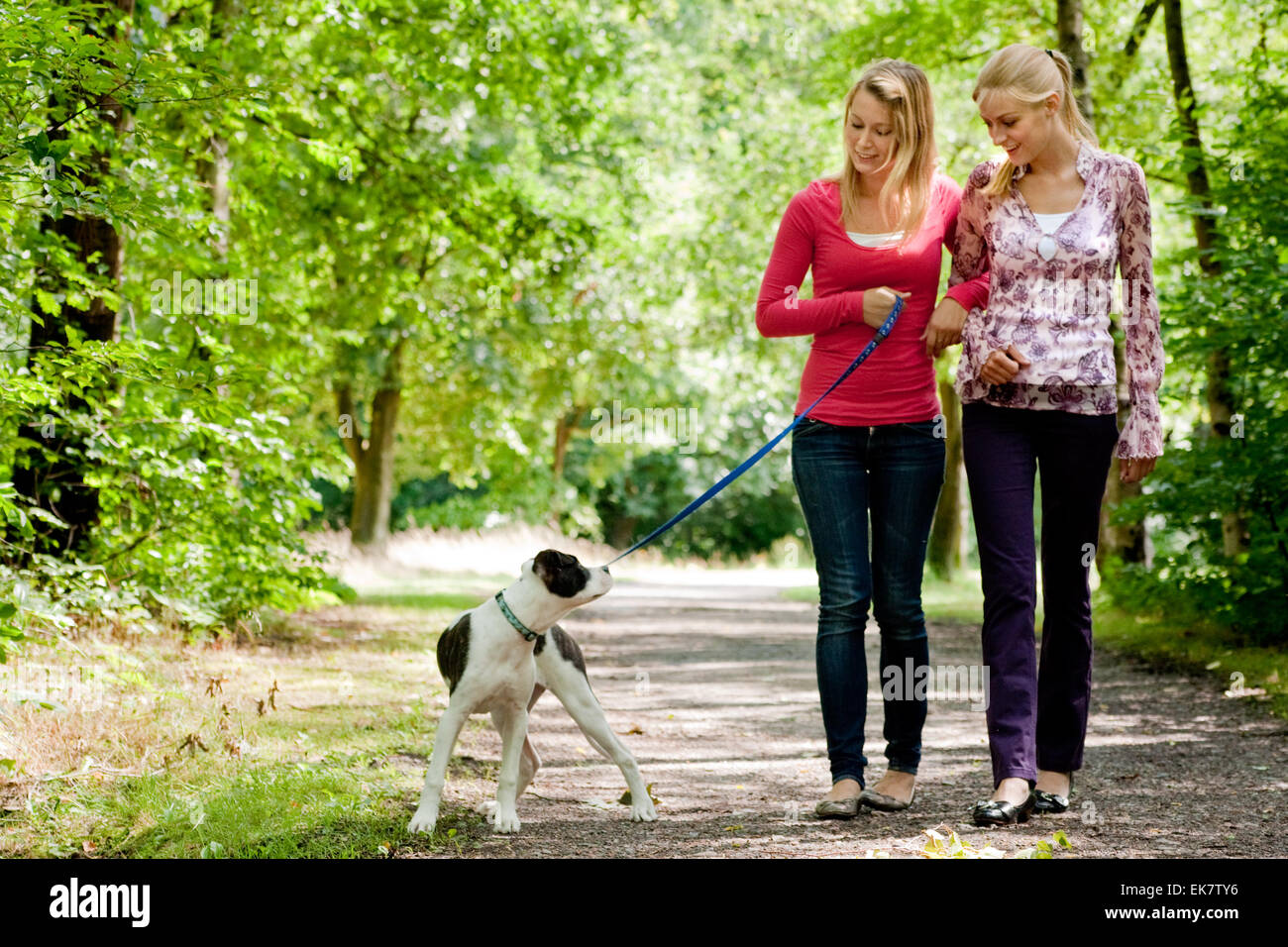 Girl two dog. Прогулка с собакой. Женщина выгуливает двух собак. Гулять с собакой. Несколько собак на прогулке.