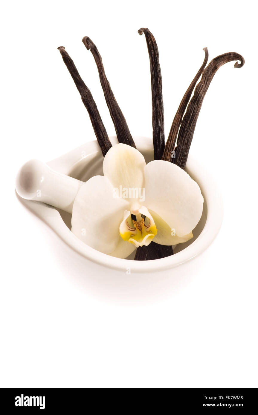Vanilla pods and flower Stock Photo Alamy