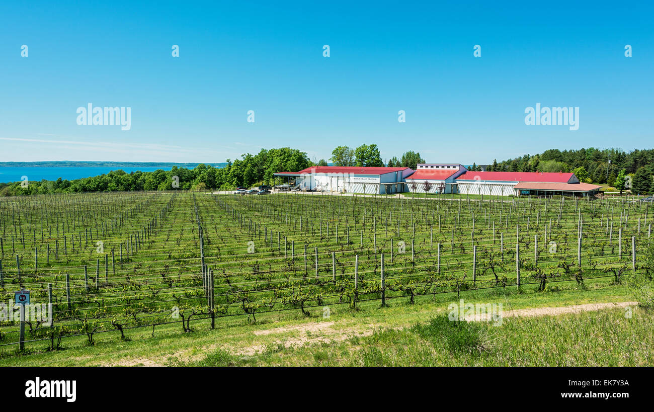 Michigan, Traverse City, Old Mission Peninsula, Chateau Grand Traverse Winery and Vineyards Stock Photo