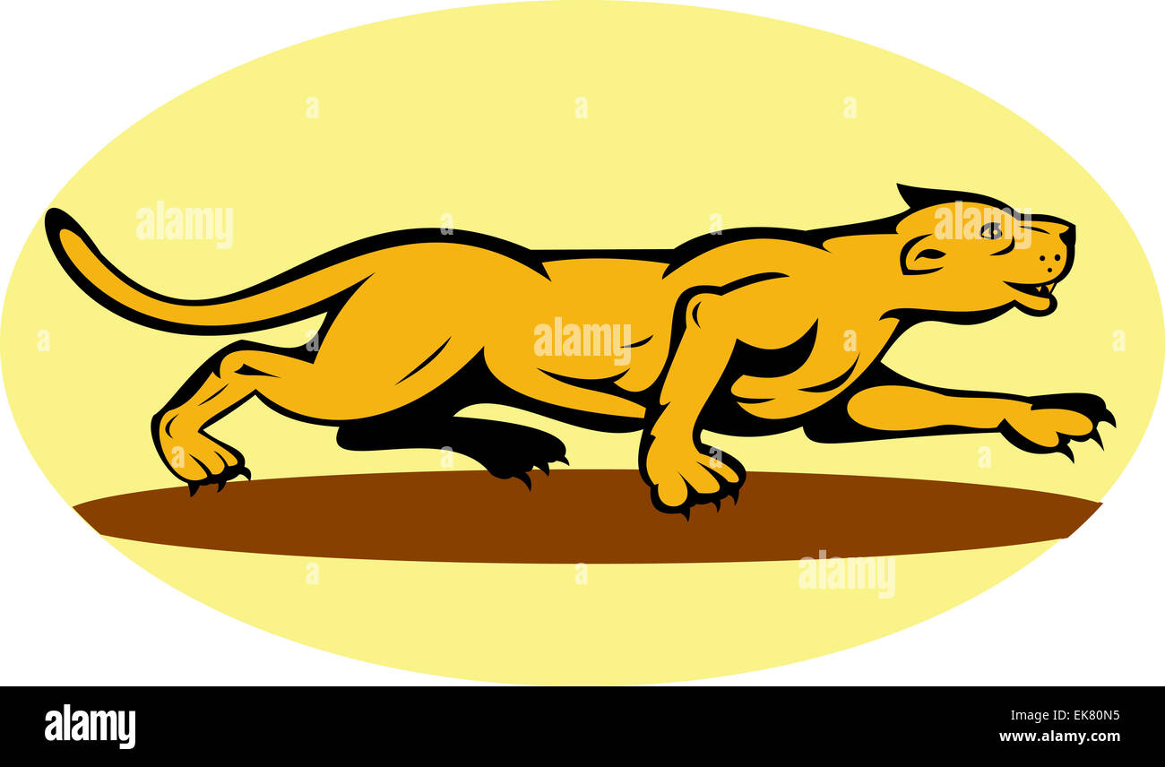 Illustration mountain lion puma big hi-res stock photography and images - Alamy Illustration mountain lion puma big hi-res stock photography and images - Alamy