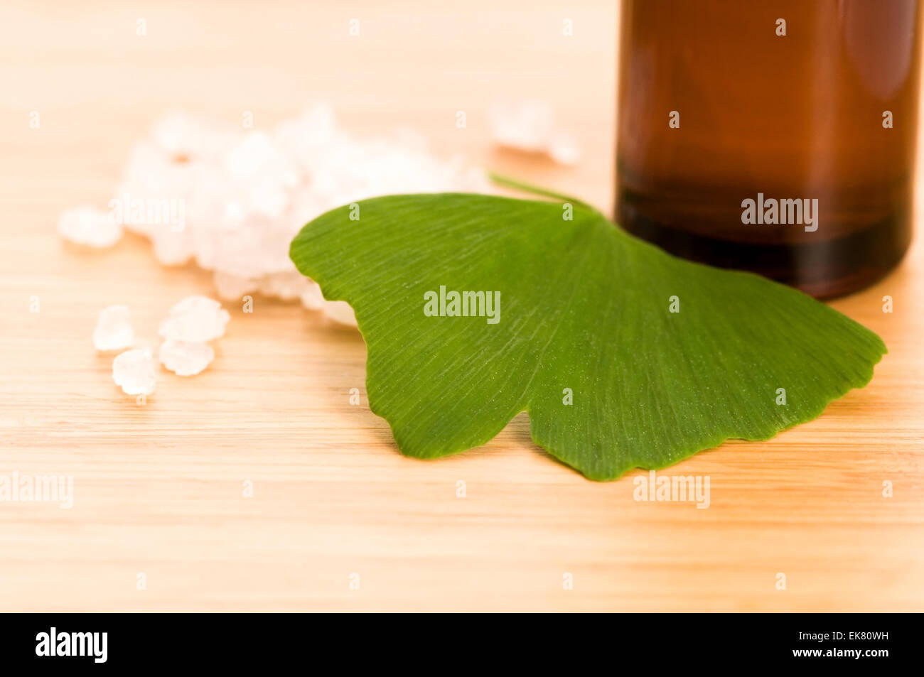 fresh leaves ginko biloba essential oil and sea salt - beauty tr Stock Photo