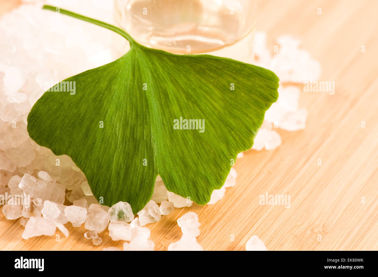 fresh leaves ginko biloba essential oil and sea salt - beauty tr Stock Photo