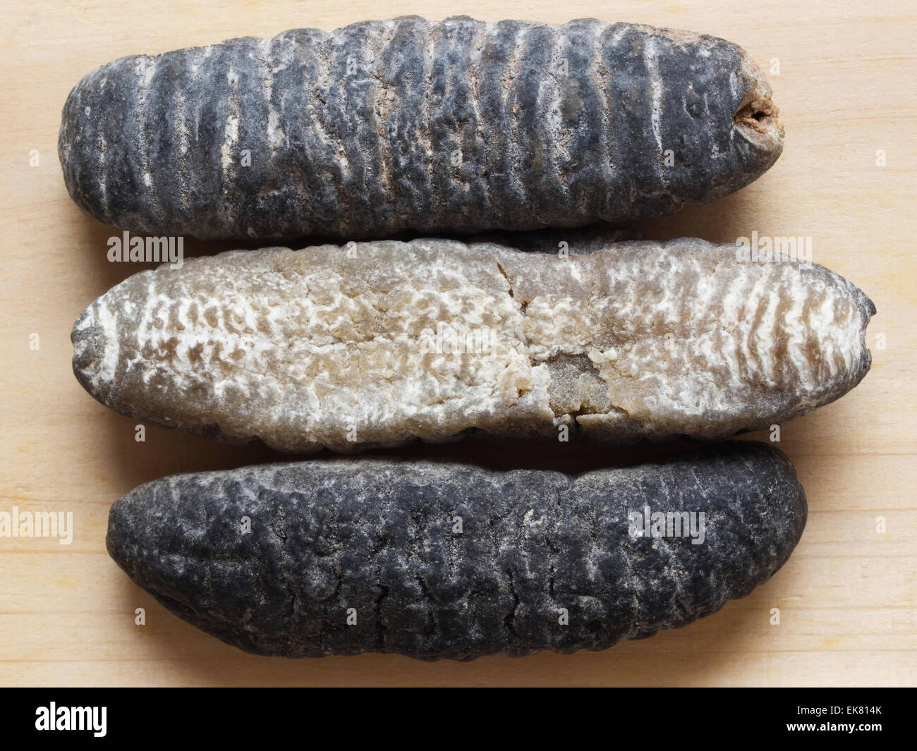 dried sea cucumber Stock Photo Alamy