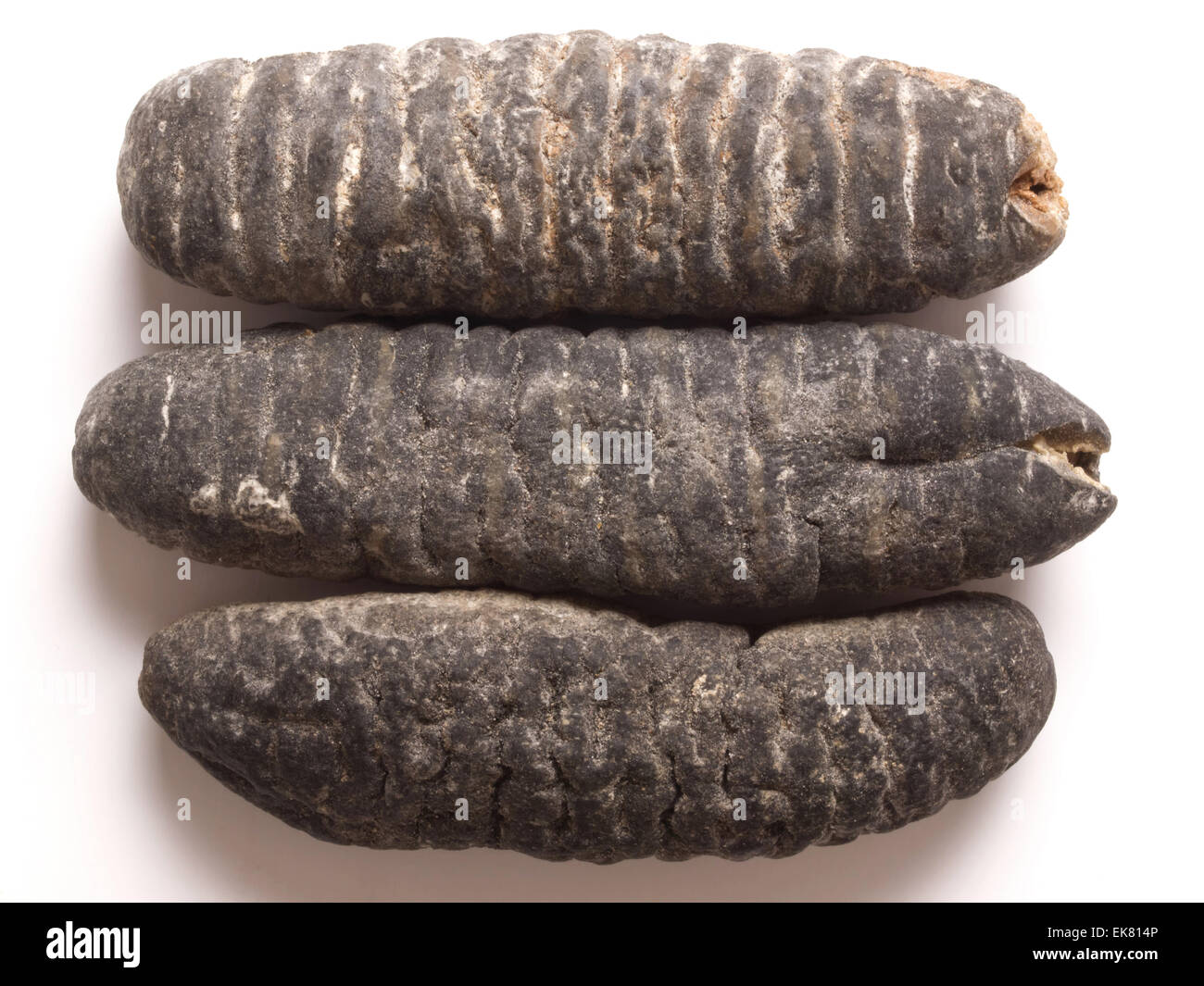 dried sea cucumber Stock Photo Alamy