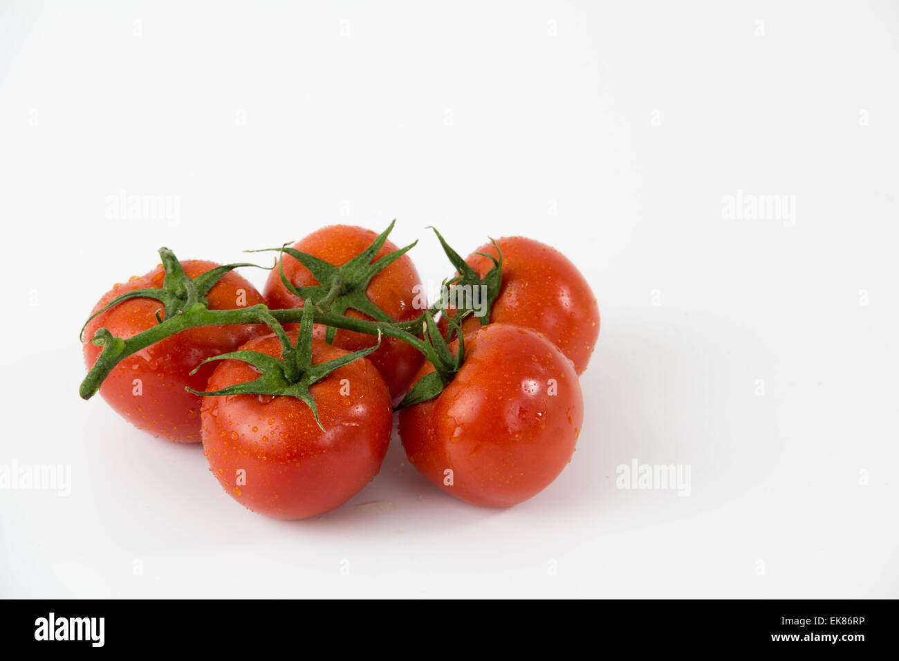 tomatoes on a vine isolated on white background Stock Photo - Alamy