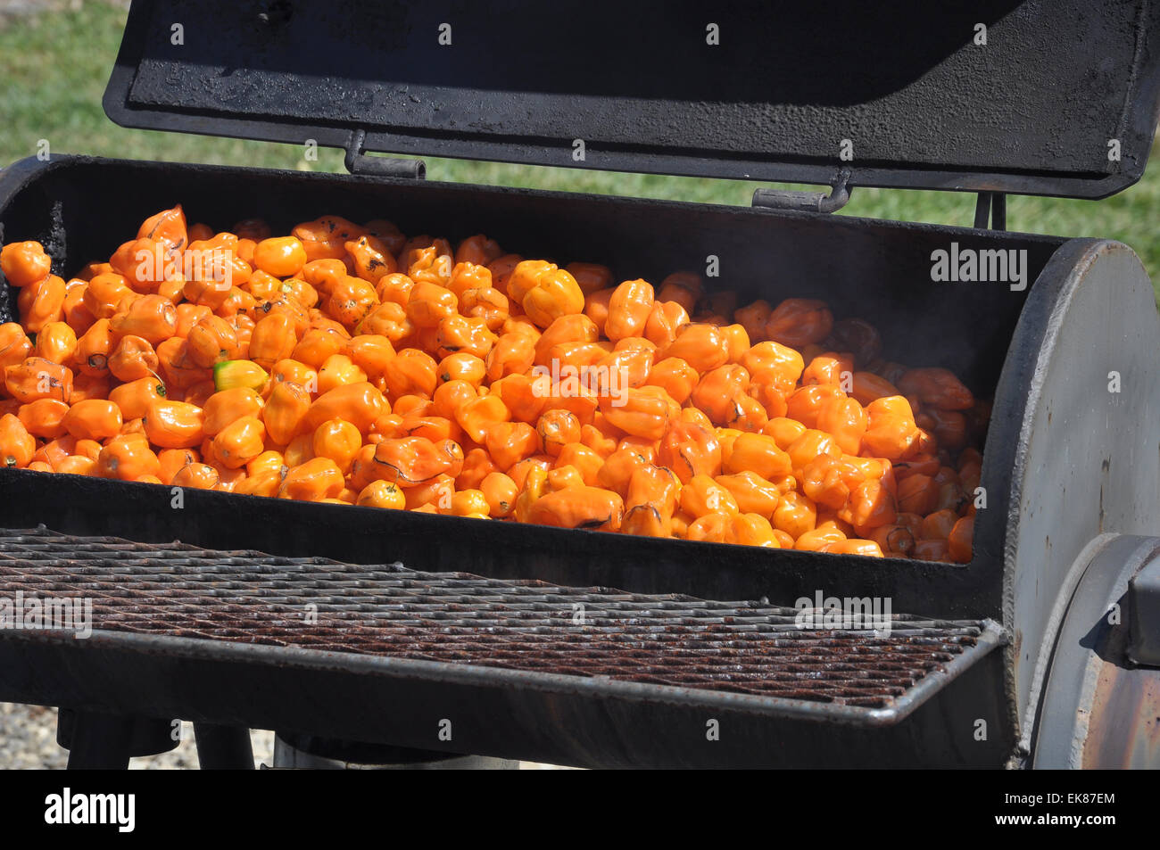 Smoked Hot Peppers Stock Photo