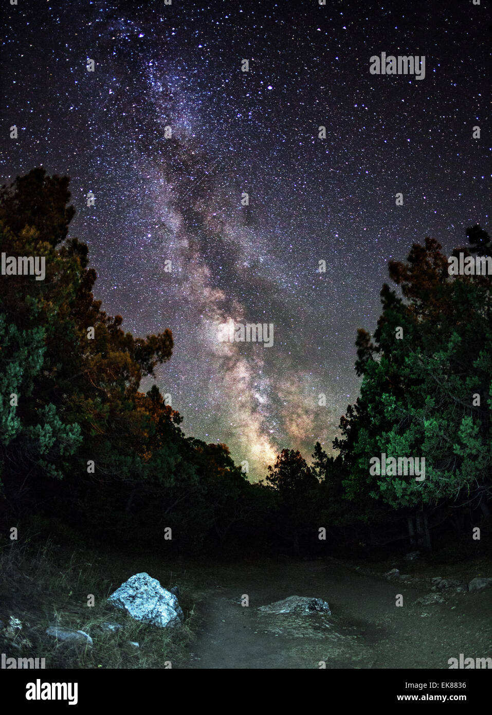 Milky Way. Beautiful summer night sky with stars, trail, stones and green trees. Crimea mountains Stock Photo