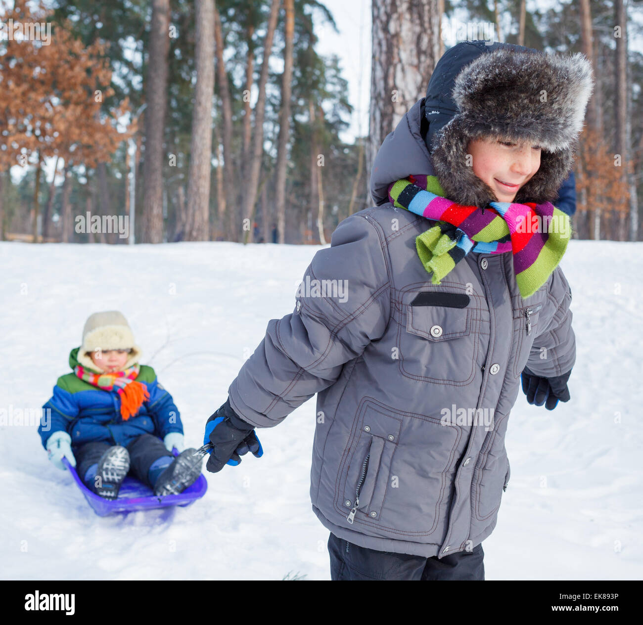 Children on sleds in snow Stock Photo Alamy