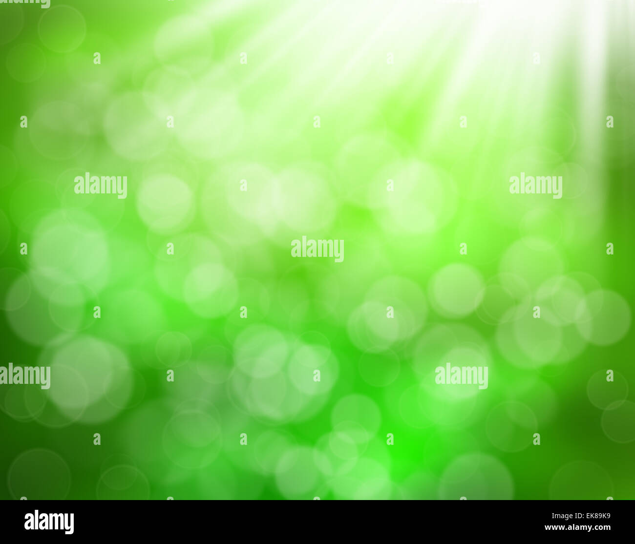 rSunny abstract green nature background Stock Photo - Alamy