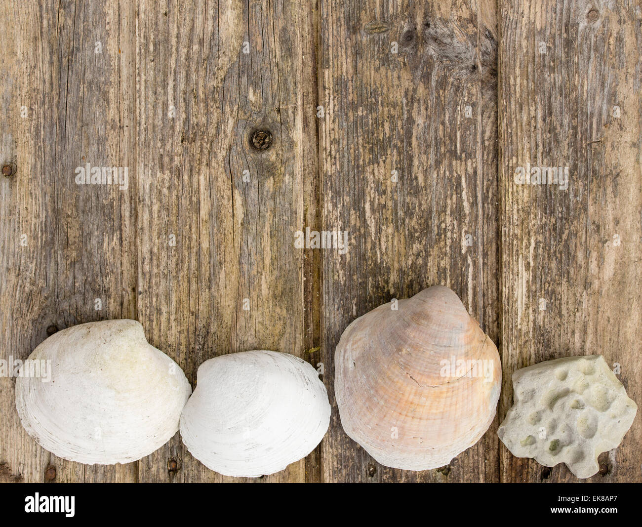 Colorful Starfish and seashell marine decoration with space copy on wooden  background Stock Photo - Alamy