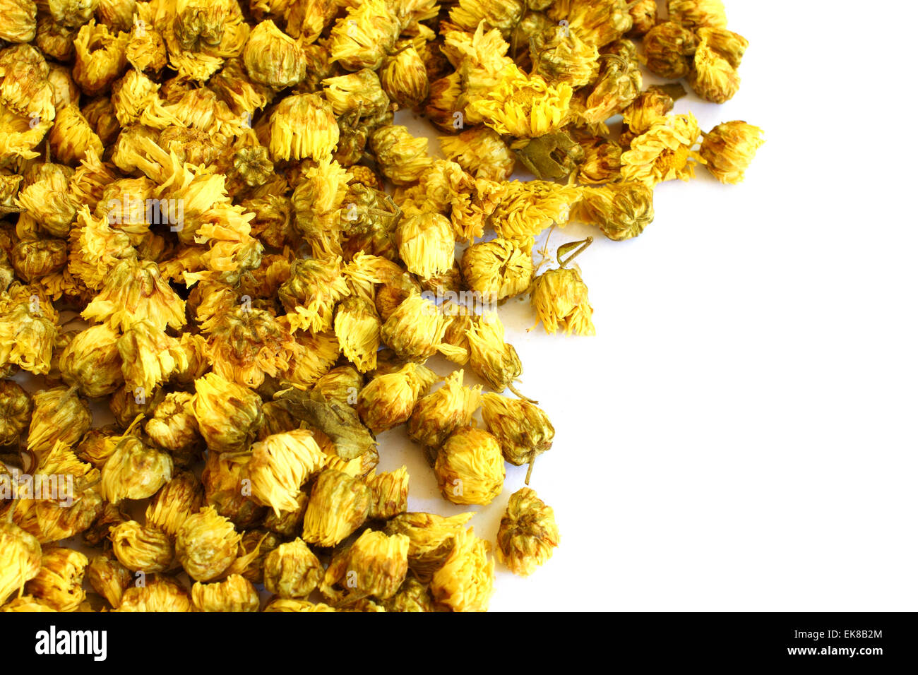 Dried Chrysanthemum Flowers on White Background Stock Photo Alamy