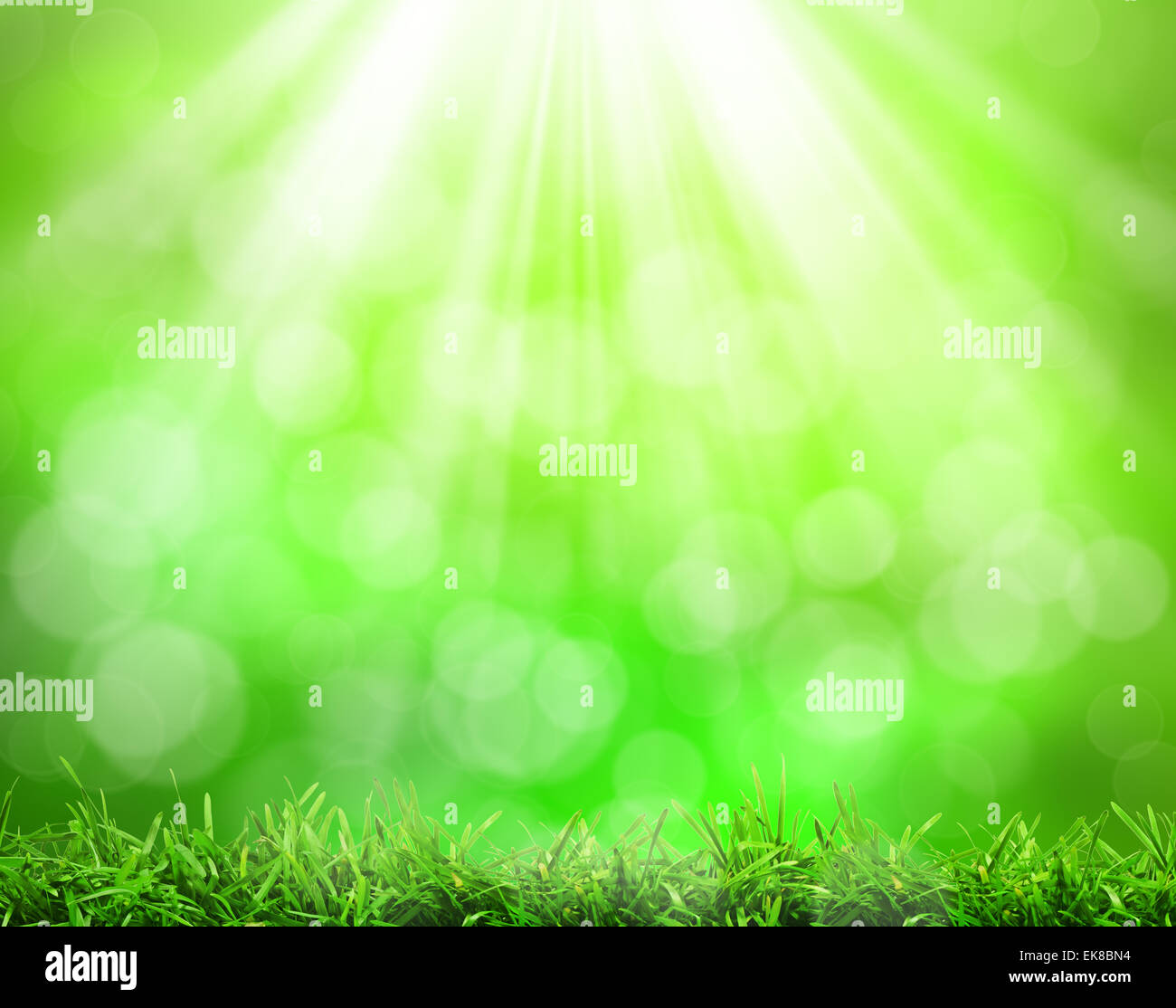 rSunny abstract green nature background Stock Photo - Alamy